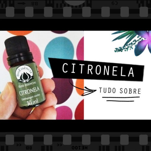 óleo essencial citronela